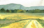 meadows.jpg