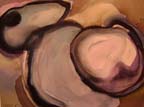 clamshells.jpg